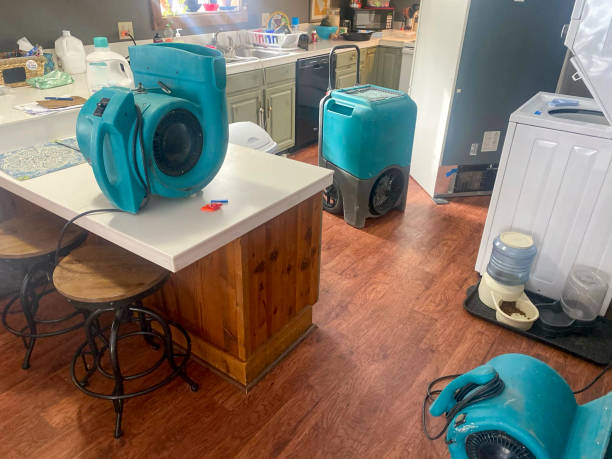 Best Ceiling water damage repair  in Lake Mohegan, NY