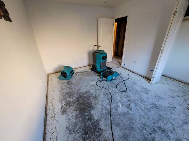 Best Water damage cleanup near me  in Lake Mohegan, NY