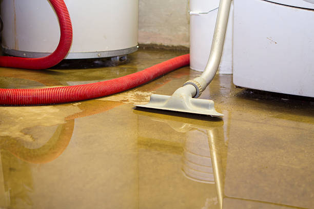 Carpet water damage restoration in Lake Mohegan, NY