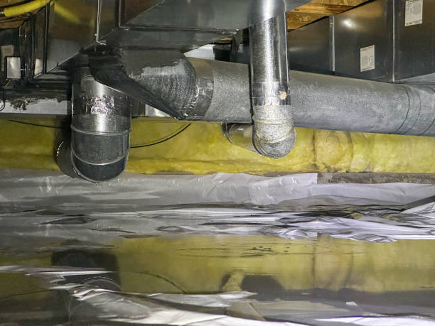 Best Water damage restoration cost  in Lake Mohegan, NY